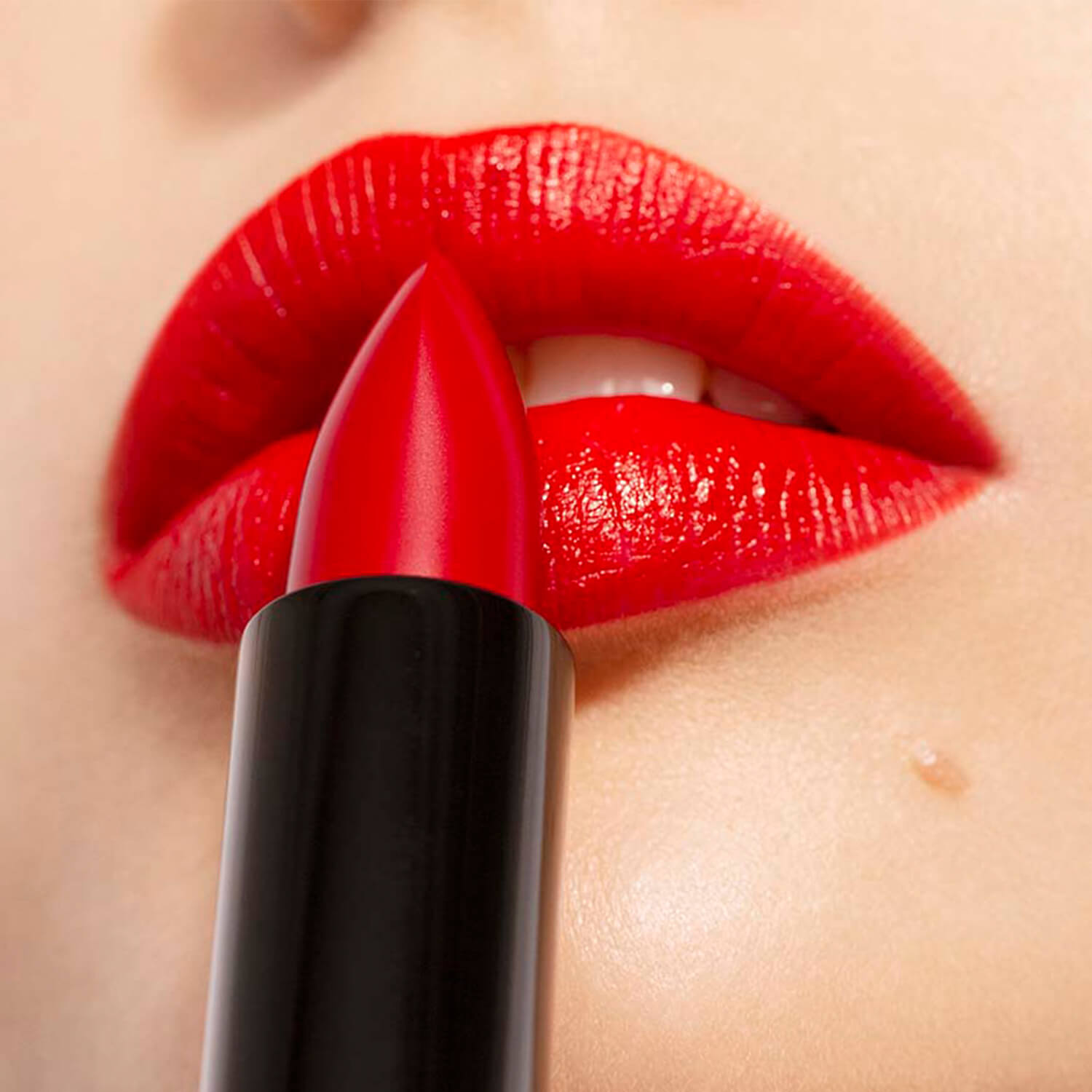 THE LIPSTICK (LABIAL EN BARRA)
