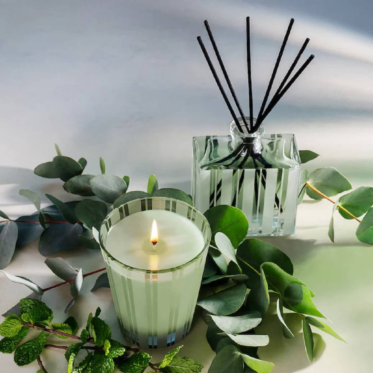 WILD MINT & EUCALYPTUS CANDLE (VELA AROMÁTICA)