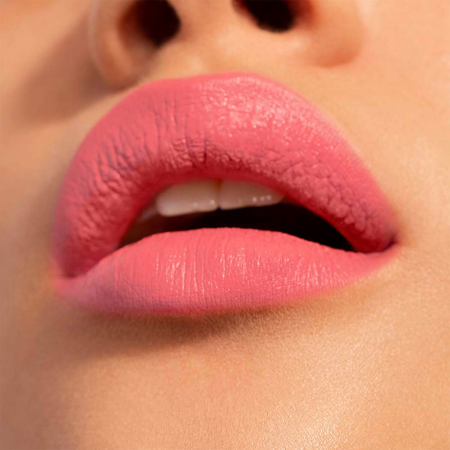 THE LIPSTICK (LABIAL EN BARRA)