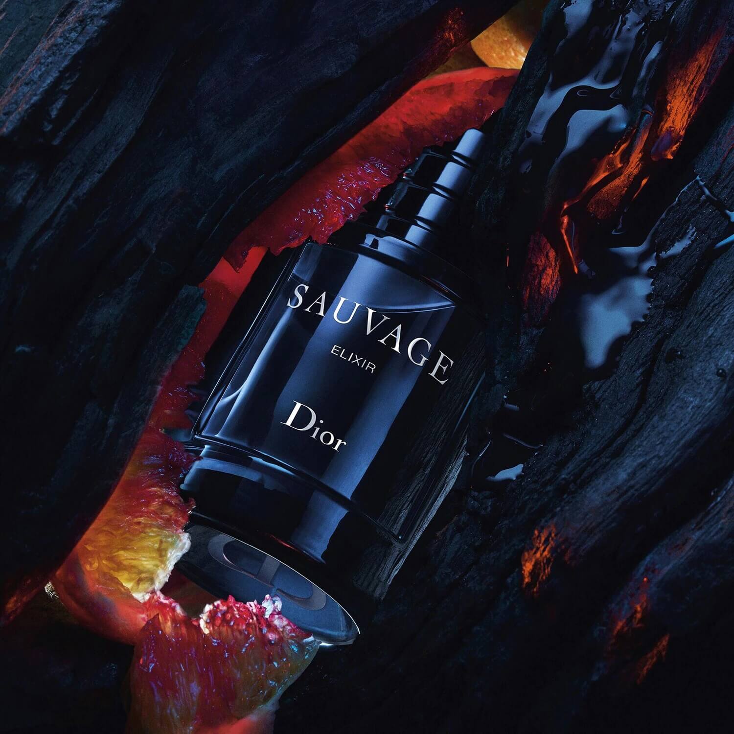SAUVAGE ELIXIR
