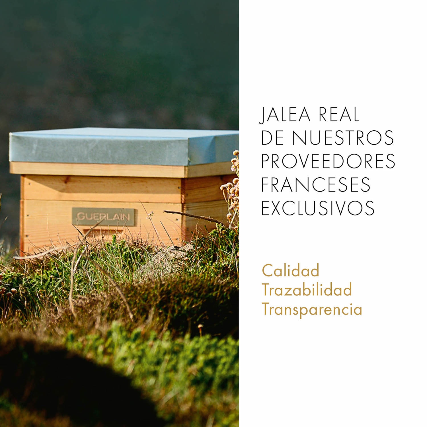 ABEILLE ROYALE LOCIÓN FORTIFICANTE CON JALEA REAL 300ML