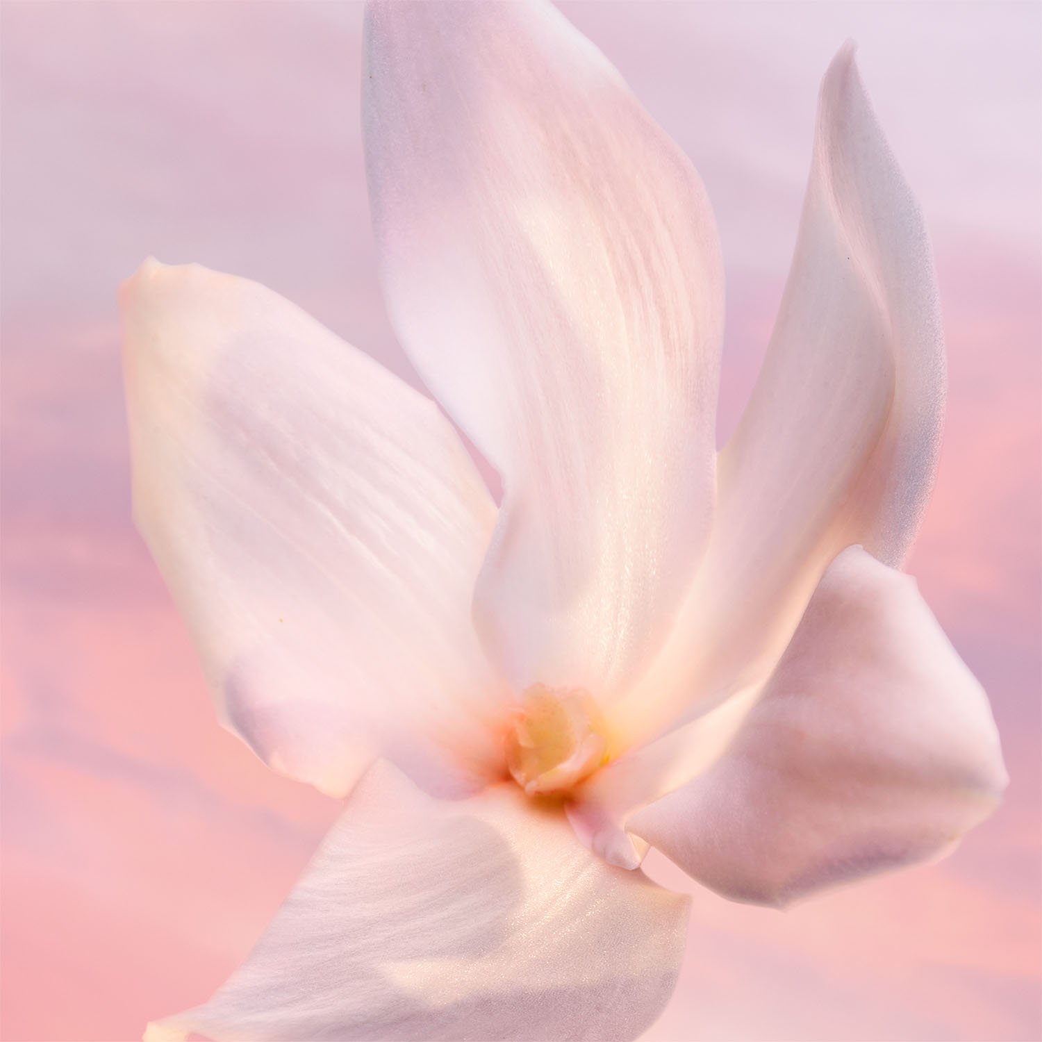 LANCÔME LA VIE EST BELLE PARFUM DE PEAU EAU DE PARFUM