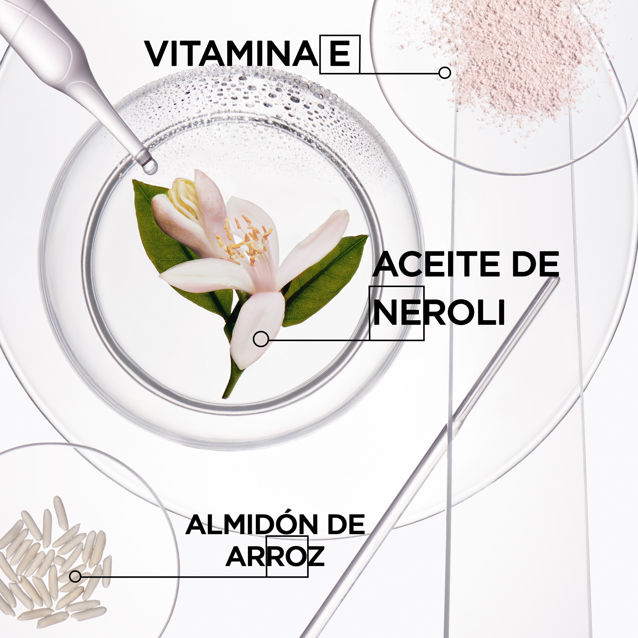 DRY SHAMPOO FRESH AFFAIR (SHAMPOO SECO)