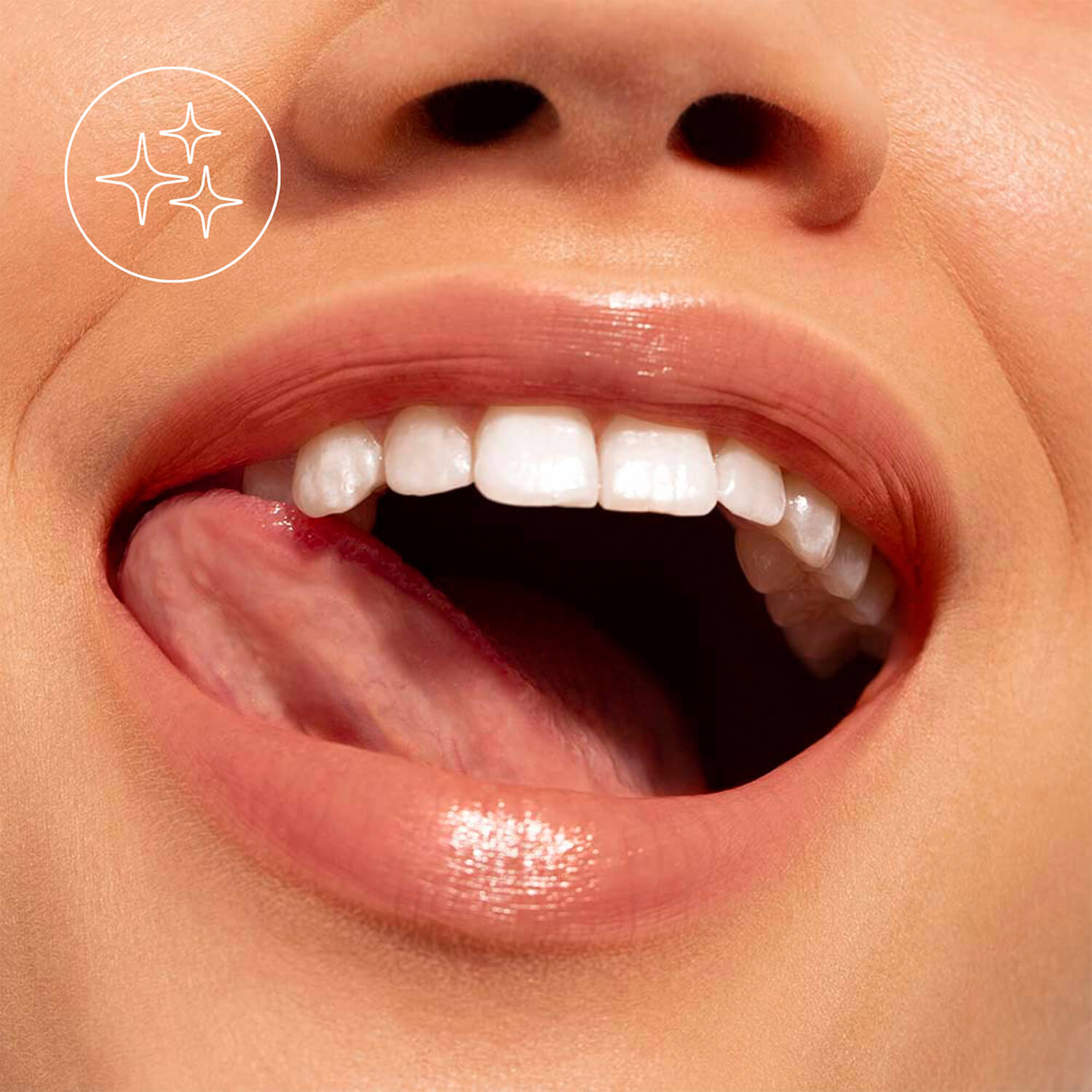 THE LIPSTICK (LABIAL EN BARRA)