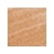 Shade 8   Medium Tan/Cool Undertone