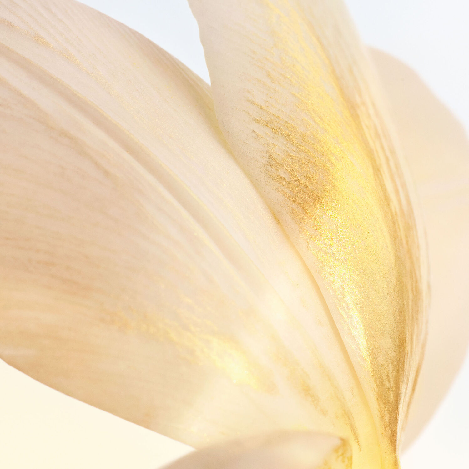J'ADORE LOR ESSENCE DE PARFUM