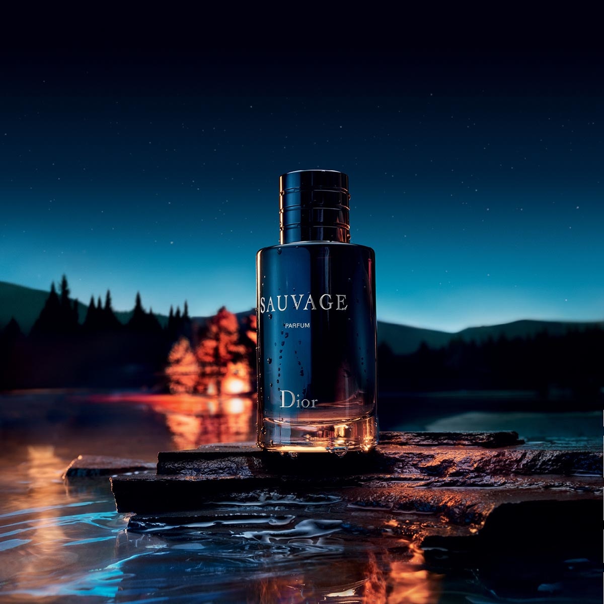 SAUVAGE PARFUM 100 ML
