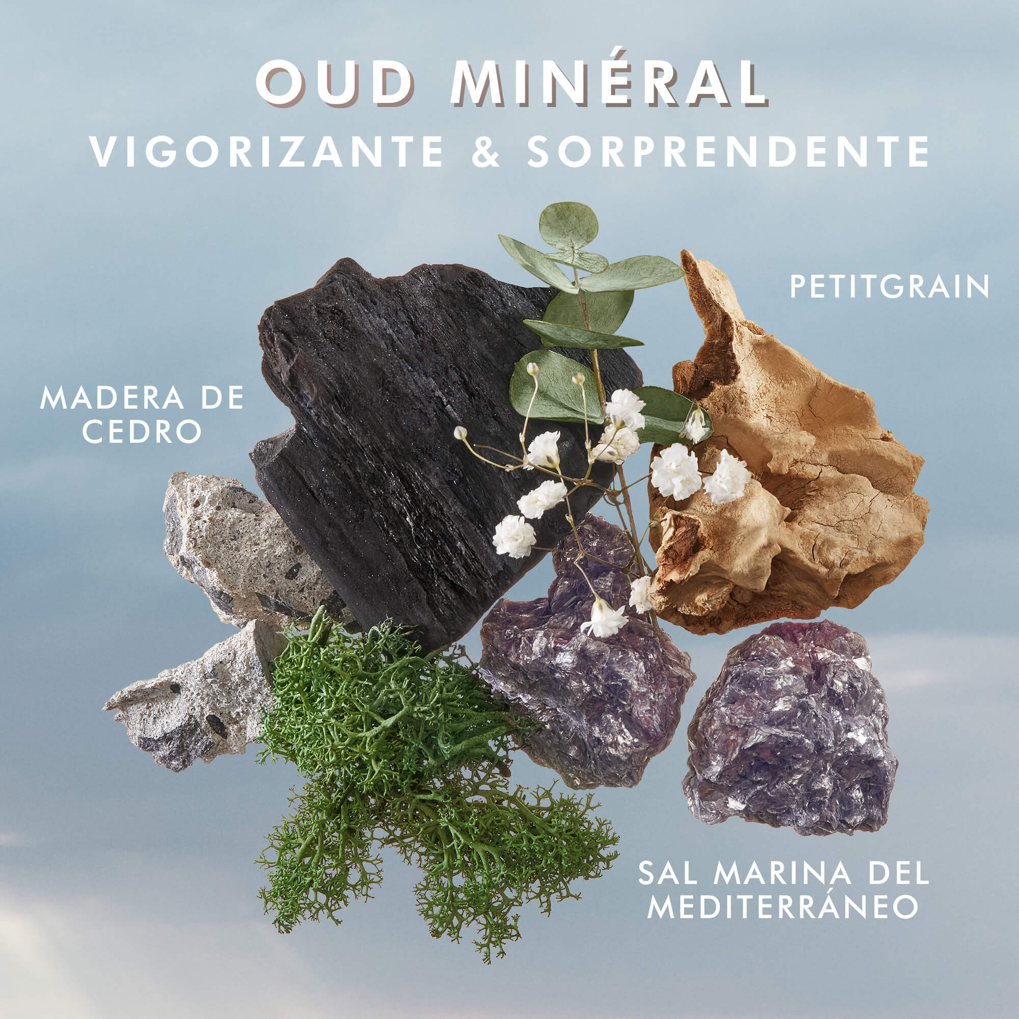 SHOWER GEL (GEL DE BA&Ntilde;O)