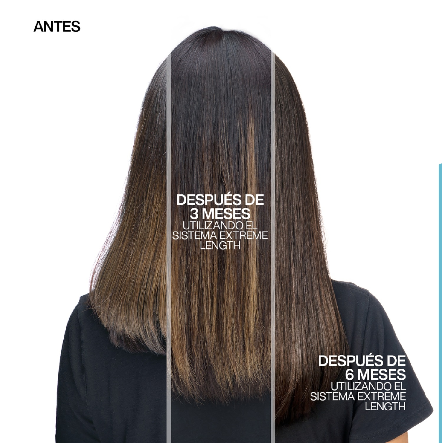 ACONDICIONADOR EXTREME LENGHT (SHAMPOO PARA CABELLO QUEBRADIZO  Y DÉBIL)