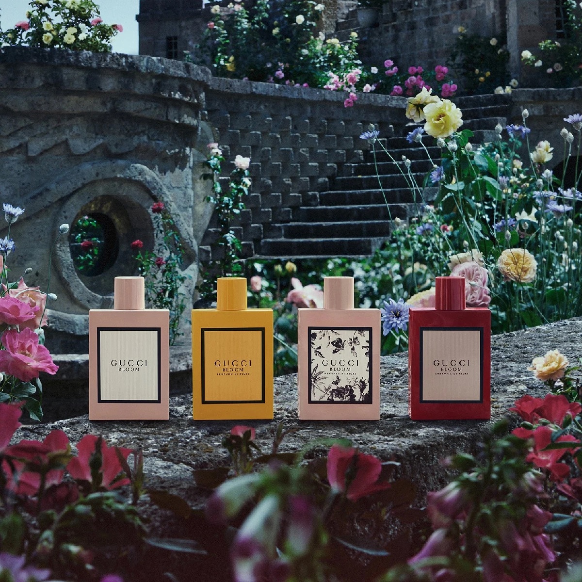 Gucci bloom eau de parfum 50 ml shop