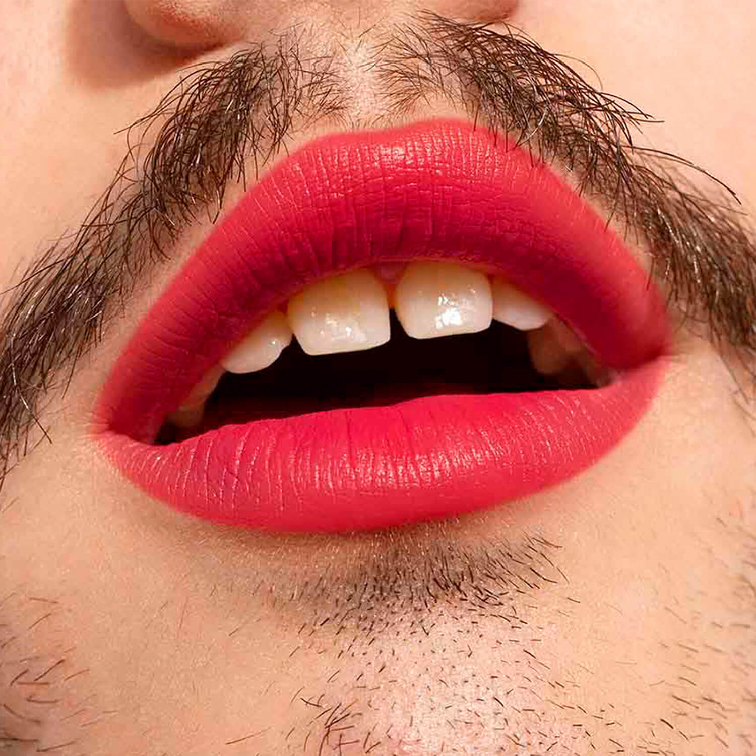 THE LIPSTICK (LABIAL EN BARRA)