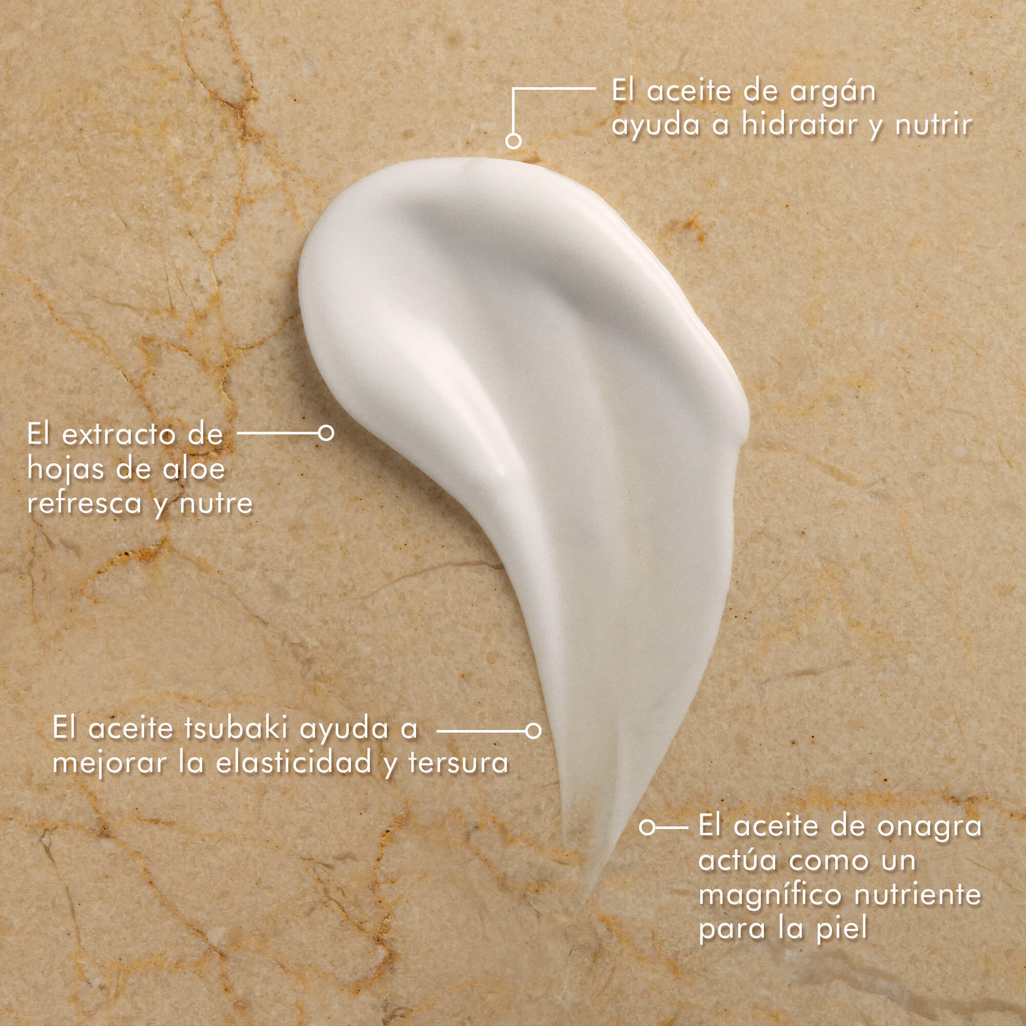BODY LOTION (LOCIÓN CORPORAL)