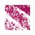 07 Dragon Fruit Matte Fuschia
