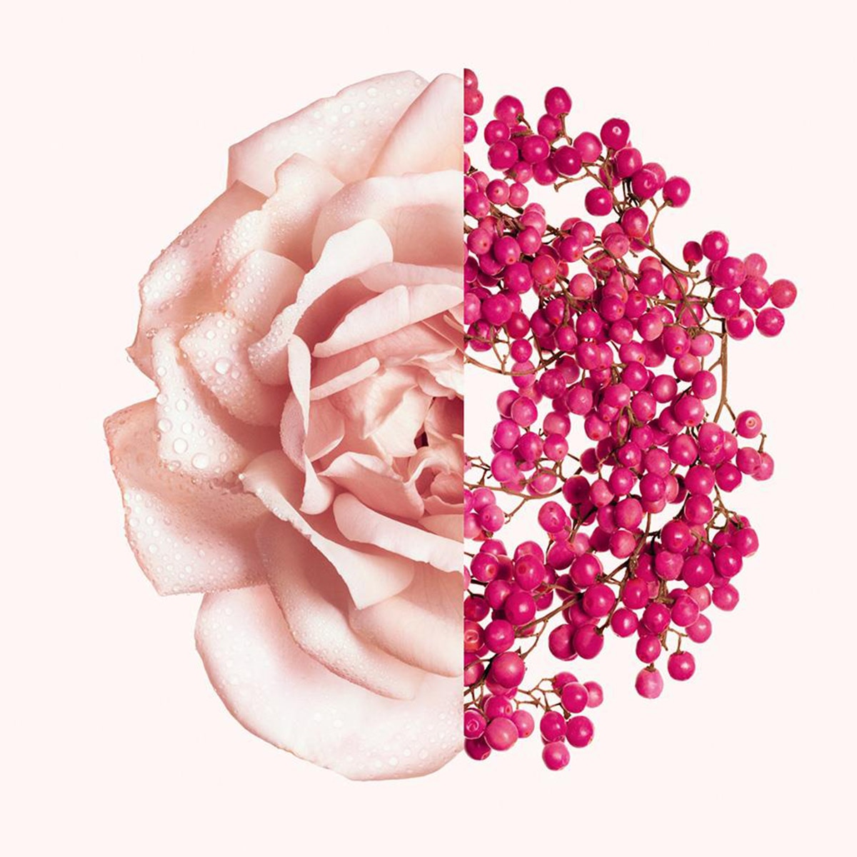 PERFUME PARA MUJER IRRESISTIBLE EAU DE TOILETTE FRAICHE Sephora MX