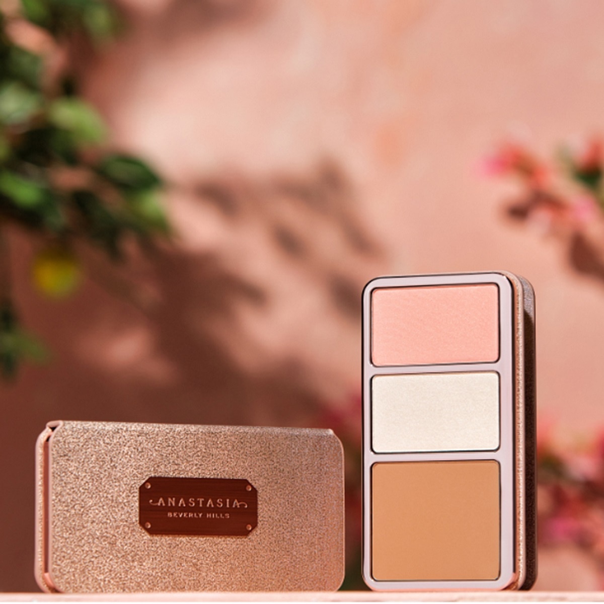 FACE PALETTE (PALETA DE ROSTRO)