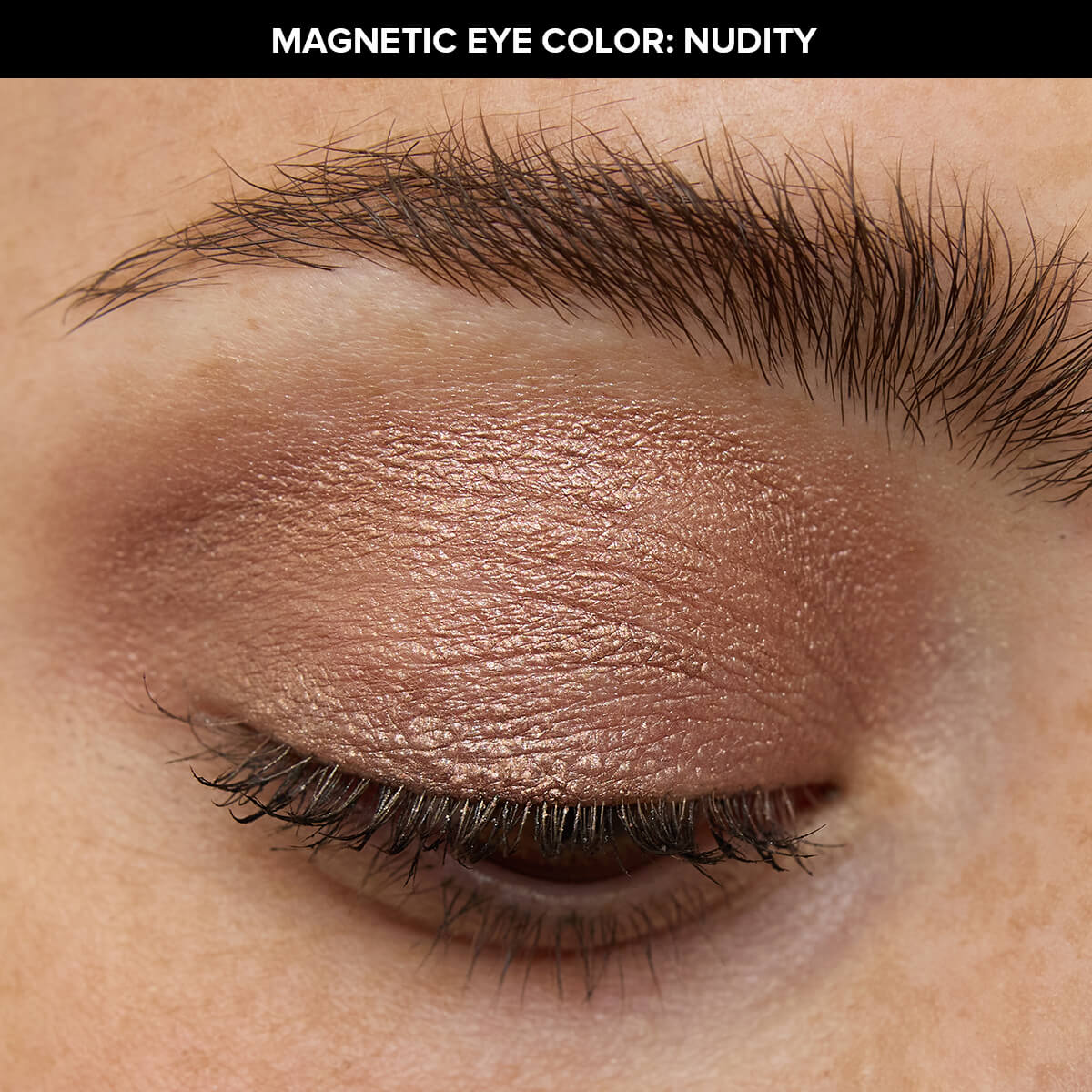 SET BROWS & LASHES (SET PARA OJOS)