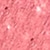 362 Pink
