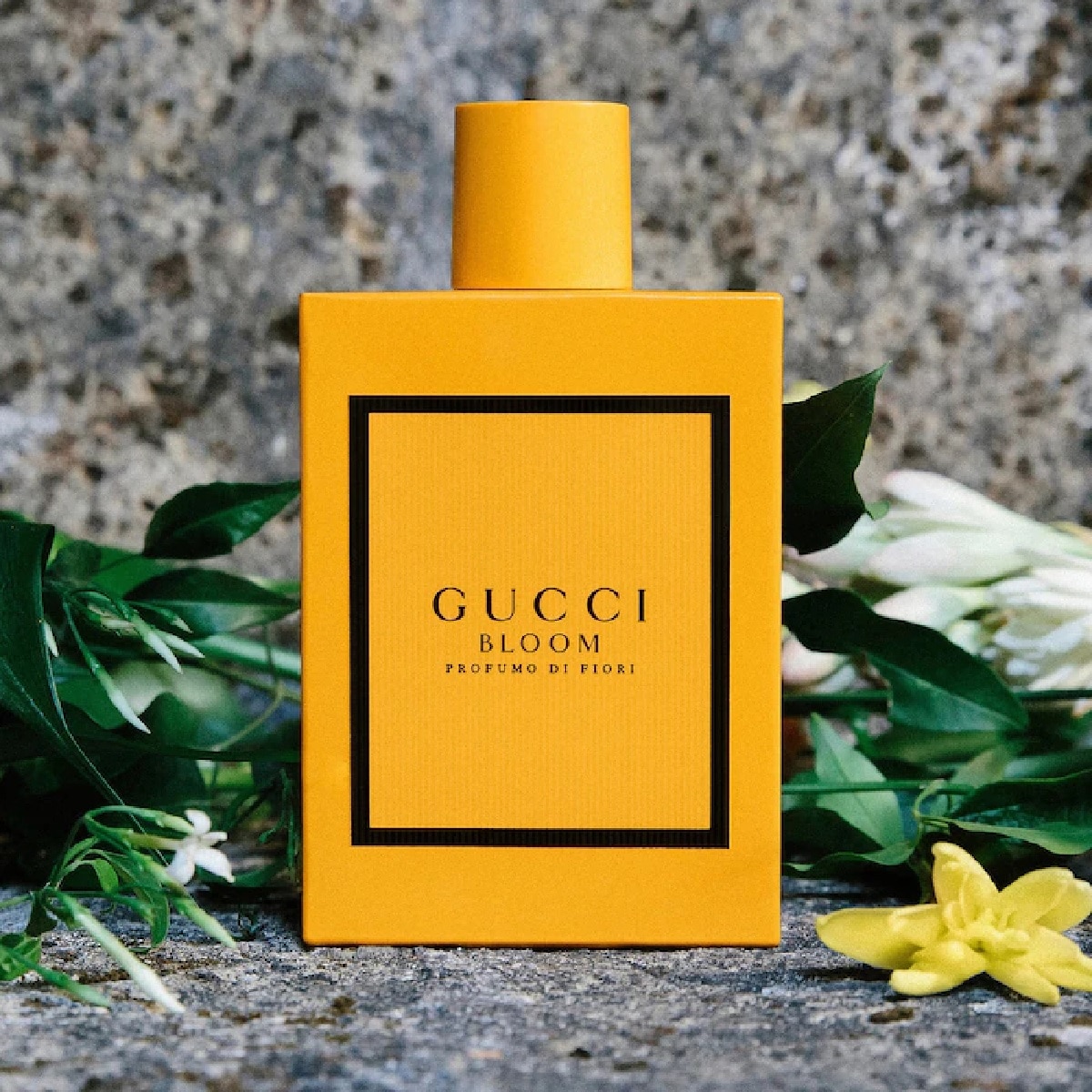 Gucci bloom 50ml sephora shop